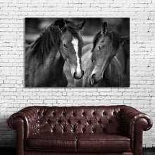 Load image into Gallery viewer, #011BW Horse