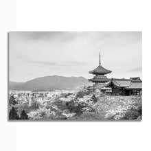 Load image into Gallery viewer, #035BW Japan
