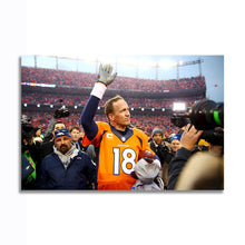 Load image into Gallery viewer, #001 Broncos