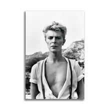 Load image into Gallery viewer, #022 David Bowie