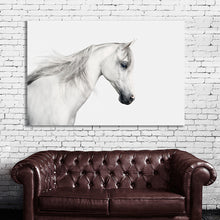 Load image into Gallery viewer, #027 Horse
