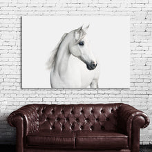 Load image into Gallery viewer, #029 Horse