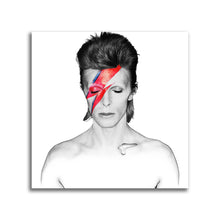 Load image into Gallery viewer, #503FG David Bowie