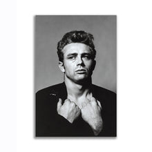 Load image into Gallery viewer, #021 James Dean