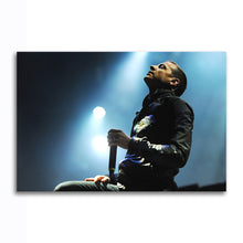 Load image into Gallery viewer, #005 Linkin Park