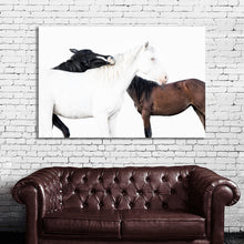 Load image into Gallery viewer, #005 Horse