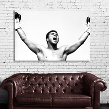 Load image into Gallery viewer, #036BW Muhammad Ali