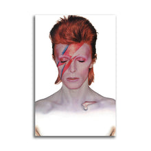 Load image into Gallery viewer, #008 David Bowie