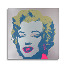Load image into Gallery viewer, #504 Warhol