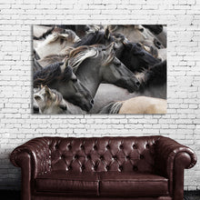 Load image into Gallery viewer, #003 Horse