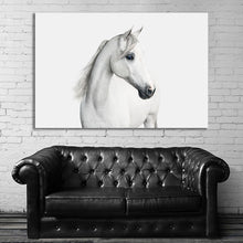Load image into Gallery viewer, #029 Horse