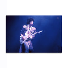 Load image into Gallery viewer, #022 Prince