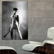 Load image into Gallery viewer, #008 Prince