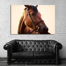 Load image into Gallery viewer, #008 Horse