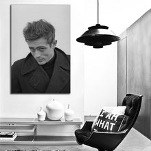 Load image into Gallery viewer, #022 James Dean