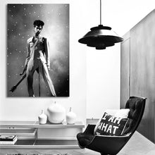 Load image into Gallery viewer, #008 Prince