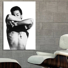 Load image into Gallery viewer, #014 Prince