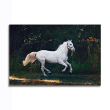 Load image into Gallery viewer, #012 Horse