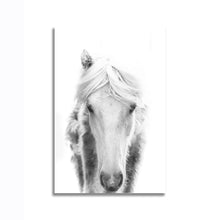 Load image into Gallery viewer, #041BW Horse