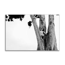 Load image into Gallery viewer, #018BW Kendall Jenner