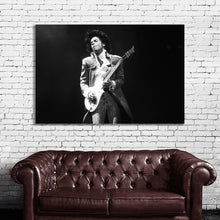 Load image into Gallery viewer, #025BW Prince