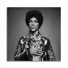 Load image into Gallery viewer, #501 Prince