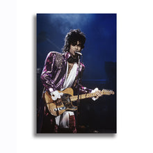 Load image into Gallery viewer, #017 Prince