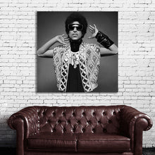 Load image into Gallery viewer, #504 Prince