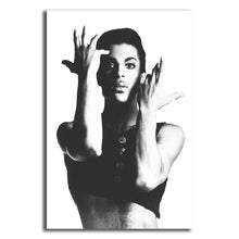 Load image into Gallery viewer, #012 Prince