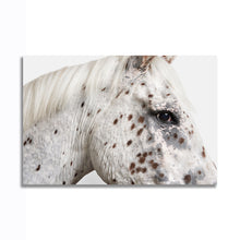 Load image into Gallery viewer, #021 Horse