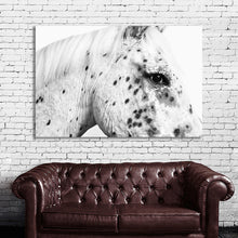 Load image into Gallery viewer, #022BW Horse
