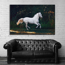 Load image into Gallery viewer, #012 Horse