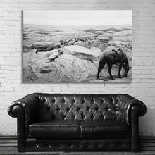 Load image into Gallery viewer, #007 Horse