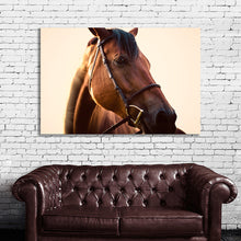 Load image into Gallery viewer, #008 Horse