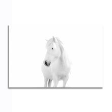 Load image into Gallery viewer, #020BW Horse