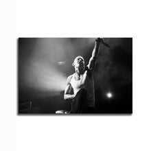 Load image into Gallery viewer, #011 Linkin Park
