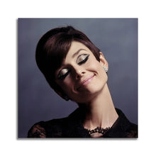 Load image into Gallery viewer, #505 Audrey Hepburn
