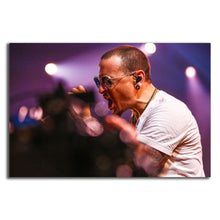 Load image into Gallery viewer, #009 Linkin Park