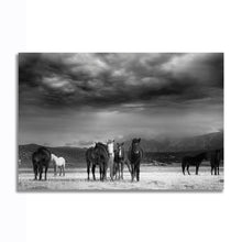 Load image into Gallery viewer, #018 Horse