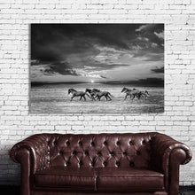 Load image into Gallery viewer, #016 Horse