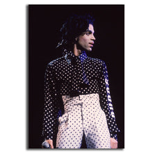 Load image into Gallery viewer, #009 Prince