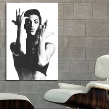 Load image into Gallery viewer, #012 Prince