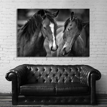 Load image into Gallery viewer, #011BW Horse
