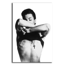 Load image into Gallery viewer, #014 Prince