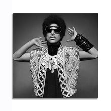 Load image into Gallery viewer, #504 Prince