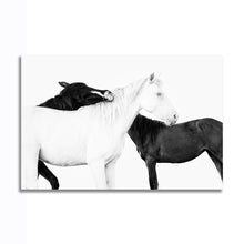 Load image into Gallery viewer, #006BW Horse