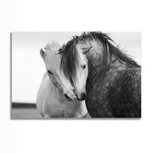 Load image into Gallery viewer, #026BW Horse