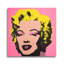 Load image into Gallery viewer, #510 Warhol