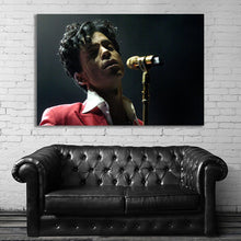 Load image into Gallery viewer, #003 Prince