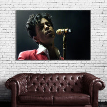 Load image into Gallery viewer, #003 Prince